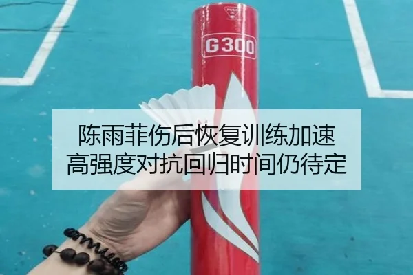 陈雨菲伤后恢复训练加速 高强度对抗回归时间仍待定